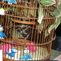 twitter_preisverleihung_vogelkaefig