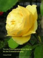 Grußkarte zum Internationalen Frauentag mit gelber Rose und einem deutschsprachigem Zitat von Johanna Dohnal: Nur eine Frauenorganisation, die lästig ist, hat eine Existenzberechtigung.