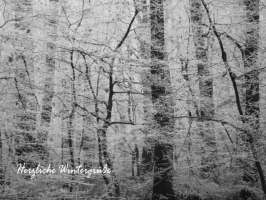 Weihnachtskarte Wald im Nebel mit Text