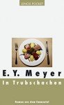 Buchcover E.Y. Meyer In Trubschachen